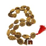 2 Mukhi 1wm