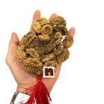 2 Mukhi 2wm