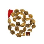 2 Mukhi 4wm