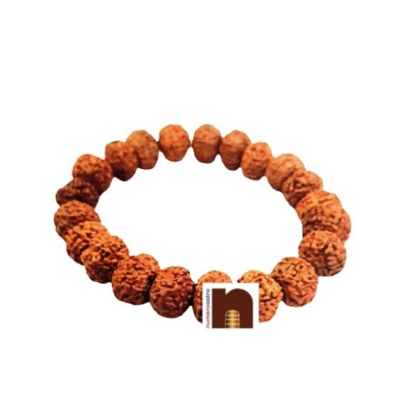 10 mukhi rudraksha bracelet 2