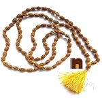 2 mukhi rudraksha mala 3 1