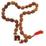 3 mukhi rudraksha kanthi mala 33beads 1