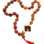 3 mukhi rudraksha kanthi mala 33beads 2