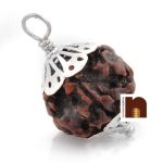 7 mukhi rudraksha pendant in silver 2 1