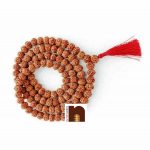 8 mukhi rudraksha mala 3