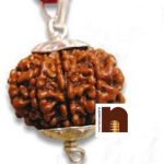 9 mukhi rudraksha pendant 1 1