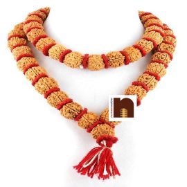 Natural 5 Mukhi Rudraksha, Natural 5 Mukhi Rudraksha Kantha Mala Big Beads, Original 5 Mukhi Rudraksha, Original 5 Mukhi Rudraksha Kantha Mala Big Beads, 5 Mukhi Rudraksha Kantha Mala