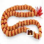 big beads rudraksha mala 2 1