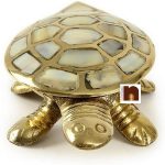brass seep tortoise 1 1