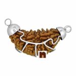 certified 1 mukhi rudraksha pendant 3 2