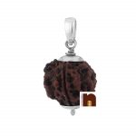 certified 4 mukhi rudraksha pendant 2 1