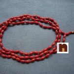 coral mala 2 1 wm
