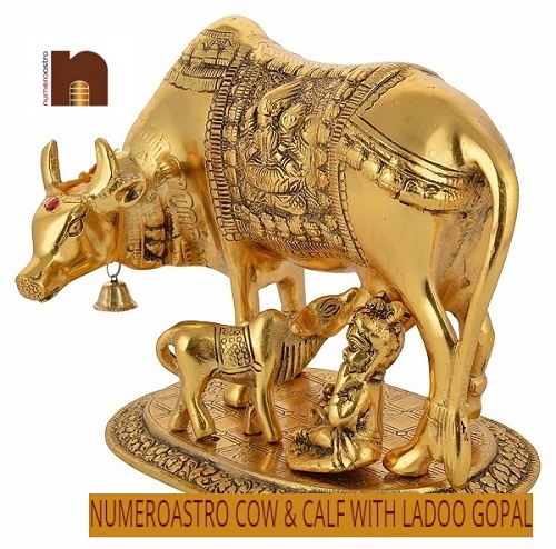 cow calf with krishna 3 1