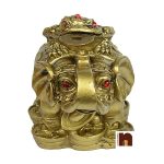 feng shui frog on elephant 4 1