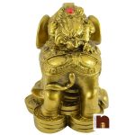feng shui frog on elephant 5