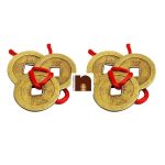 feng shui lucky coins 2 pcs combo 1