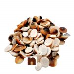 gomti chakra 21 pcs