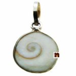 gomti chakra pendant WM