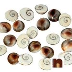 gomti chakra small 21 pcs