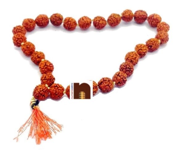 rudraksha mala for jaap 27 beads 3