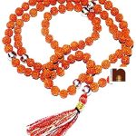 rudraksha parad mala 1wm