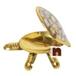 seep tortoise 4 1