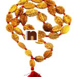 2 mukhi rudraksha kantha mala 2