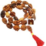 2 mukhi rudraksha kantha mala 4
