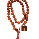 5 Mukhi Rudraksha Kantha Mala 2WM 55 Beads 18MM