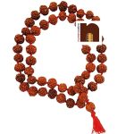 5 Mukhi Rudraksha Kantha Mala 3WM55 Beads 18MM