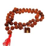 5 Mukhi Rudraksha Kantha Mala WM 55 Beads 18MM