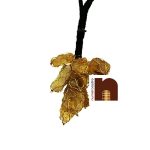 CITRINE TUMBLE 2 WM