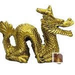 Dragon 4wm