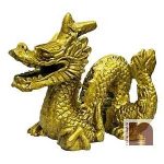 Dragon 6wm
