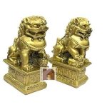 Feng Shui Fu Dogs 2wm
