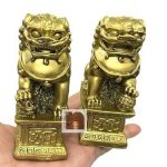 Feng Shui Fu Dogs 3wm