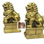 Feng Shui Fu Dogs 5wm
