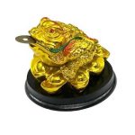 Feng Shui Three1