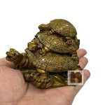 Feng Shui Triple Tortoise3wm