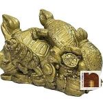 Feng Shui Triple5WM