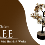 Gomti Chakra Tree 500