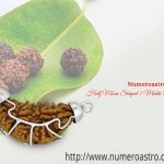 Half Moon Shaped 1 wm Mukhi Rudraksha Pendant In White Metal