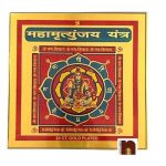 Mahamrityunjay Yantra 1WM 1 1