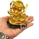 Panchmukhi Hanuman Ji5wm