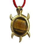 Tiger Eye 1