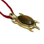 Tiger Eye 4