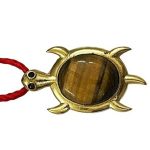 Tiger Eye 5