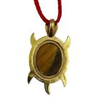 Tiger Eye 6