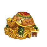 Tortoise 1wm