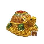 Tortoise 2wm
